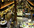 Wegmans1